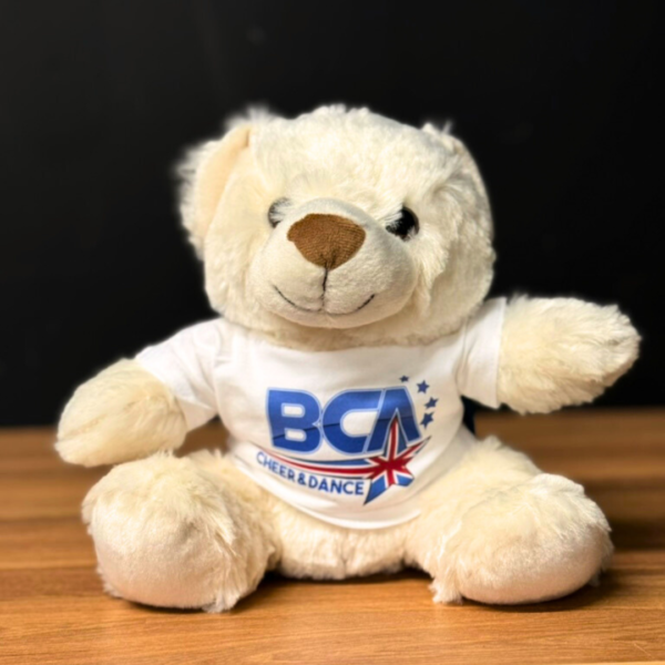 BCA Teddy Bear